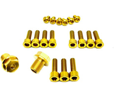 Titanium FastAce Fork Bolt Kits (All Models) · Titanium Surron, view 2