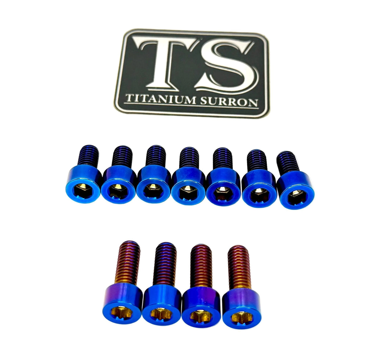 Fox 40 and Bomber 58 Fork Titanium Bolt Kits · Titanium Surron, burnt blue