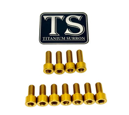 Fox 40 and Bomber 58 Fork Titanium Bolt Kits · Titanium Surron, gold