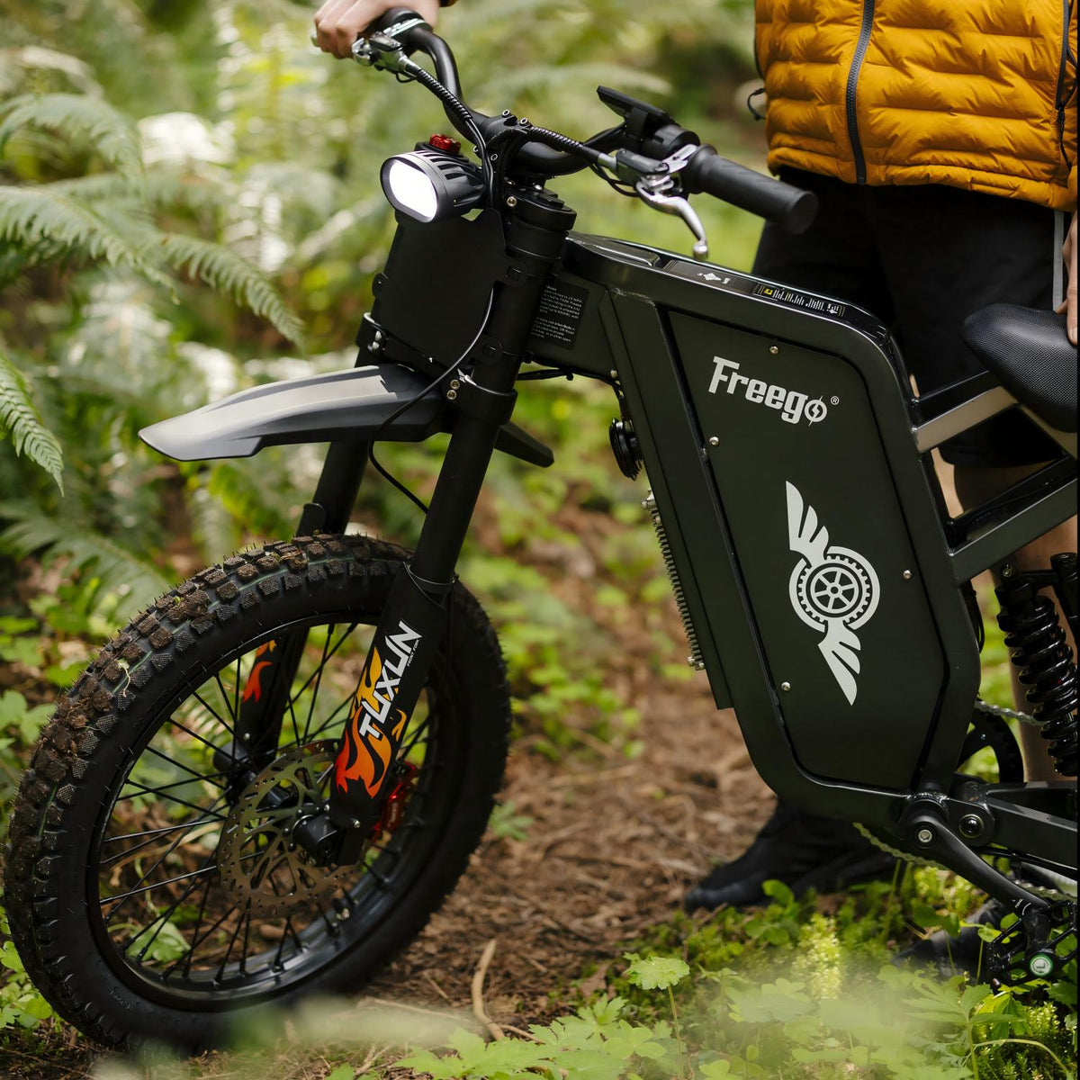 Freego X1 front wheel, fork and headlight detail