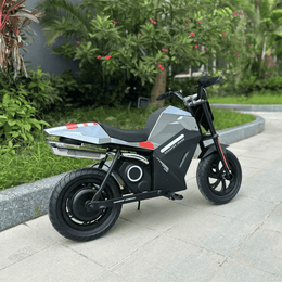 Freego K1 side view outdoors, showing the seat and rear panel