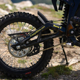 Freego Nova 5 rear wheel, chainstay and disc brake