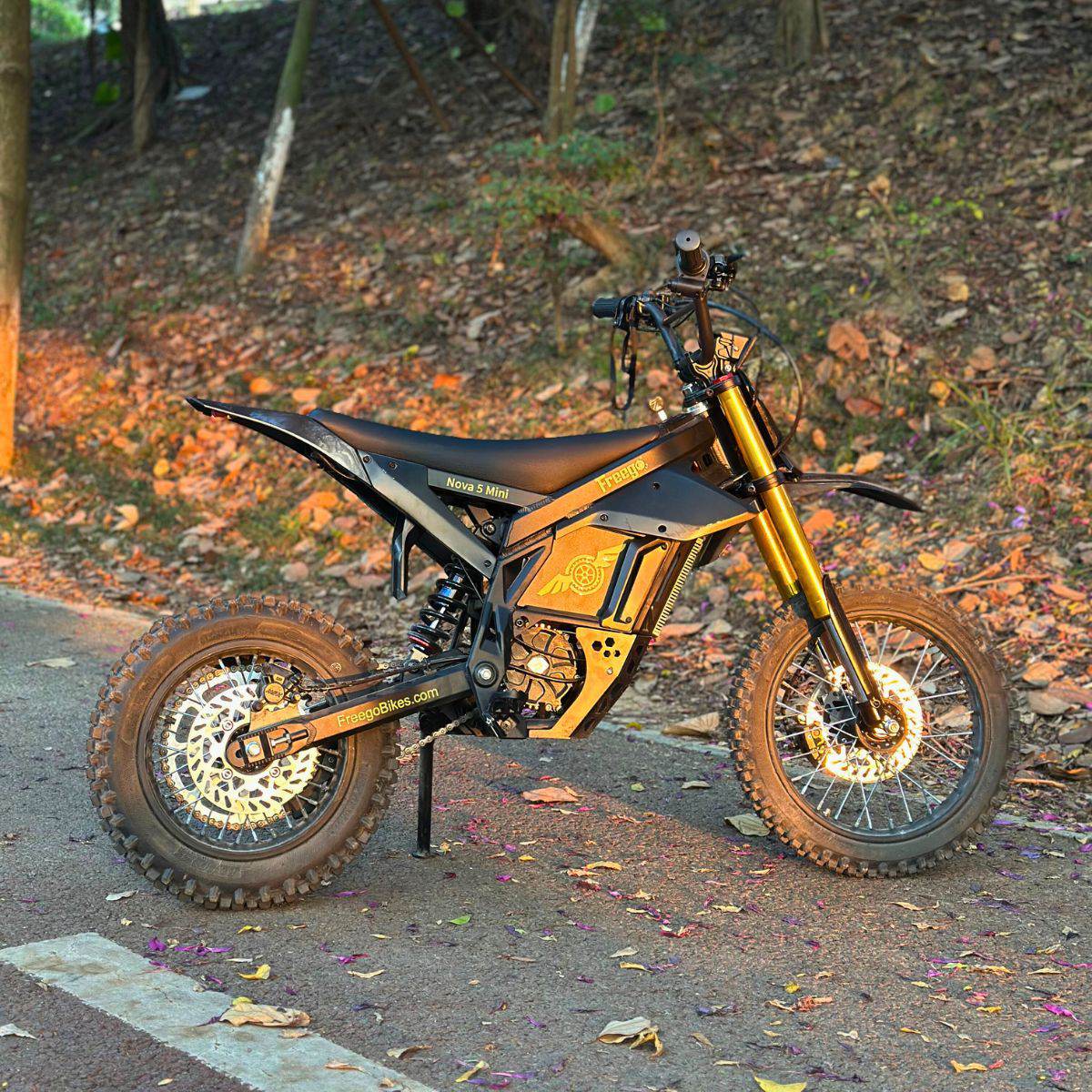 Freego Nova 5 Mini parked on a trail at sunset