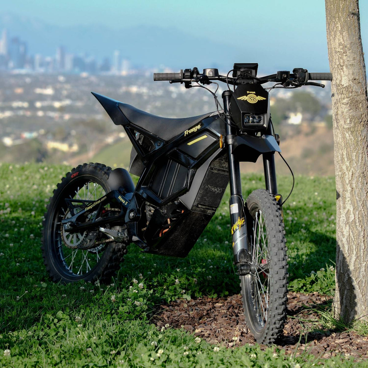 Freego Nova 5 parked with a city skyline behind it