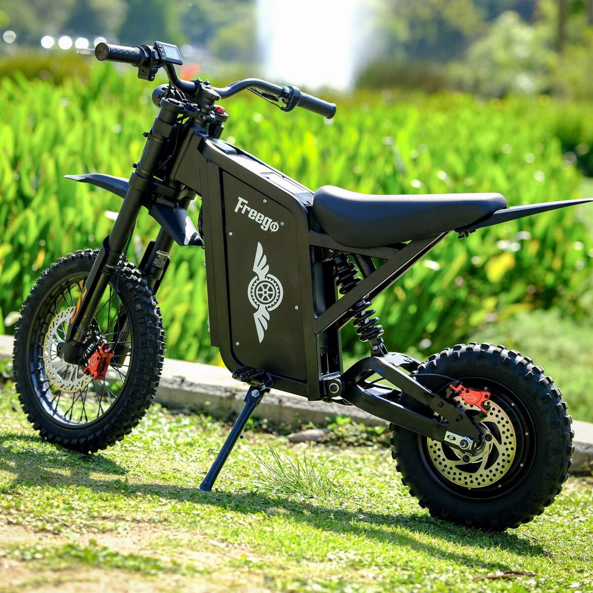 Freego X0 parked on a lawn, drive side