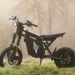 Freego X0 parked in long grass at dawn