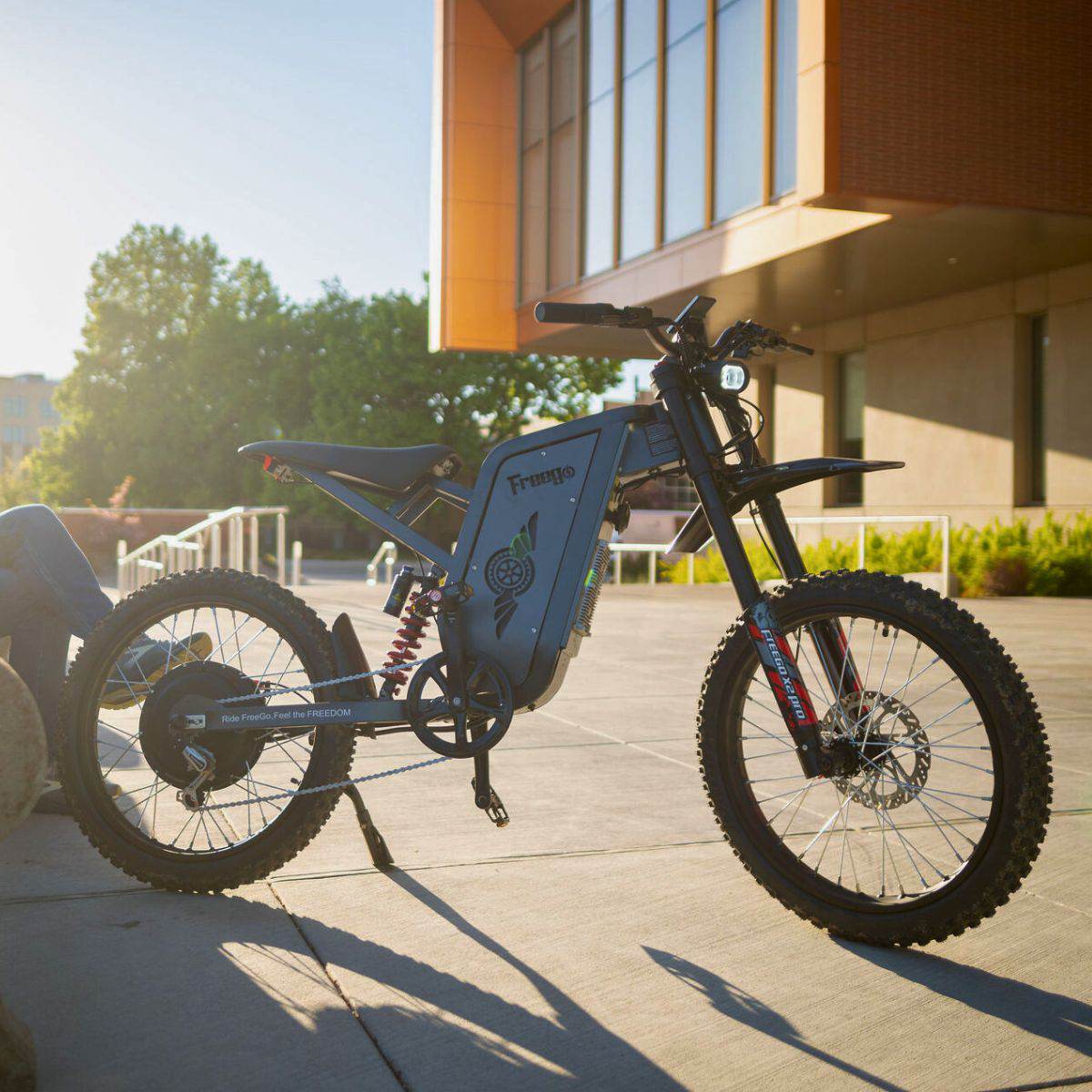Freego X2 Pro in dark gray parked outside a building