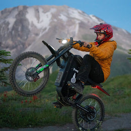 Freego X3 parked below a snow-capped mountain