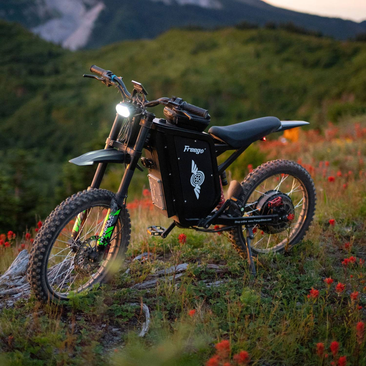 Freego X3 Pro parked in a mountain meadow