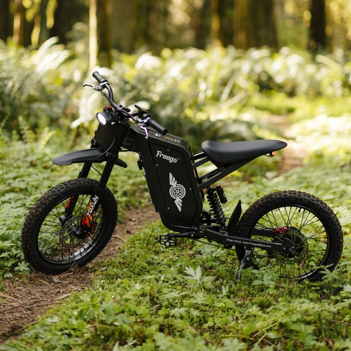 Freego X1 parked on a forest trail