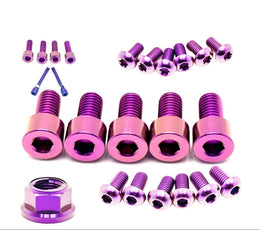 Titanium Front and Rear Wheel Bolt Kit for E-Ride Pro SS, purple