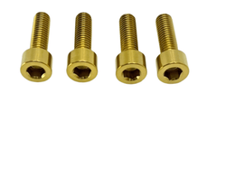 Titanium Caliper Bolt Kit (30mm bolts) for E-Ride Pro SS, view 9