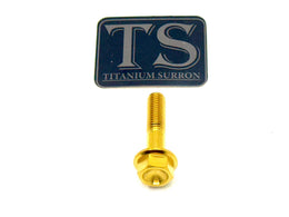 Altis Sigma Gearbox Cover Titanium Bolt Kit · Titanium Surron, view 19