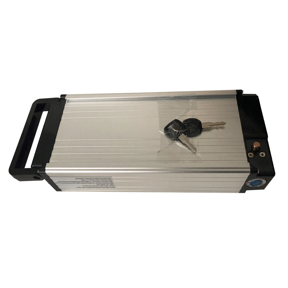 MotoTec 48v 10ah Folding Trike Lithium Battery