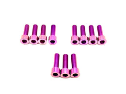 RST Fork Titanium Bolt Kit for E-Ride Pro SS, purple
