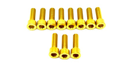 RST Fork Titanium Bolt Kit for E-Ride Pro SS, gold
