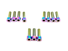 RST Fork Titanium Bolt Kit for E-Ride Pro SS, rainbow