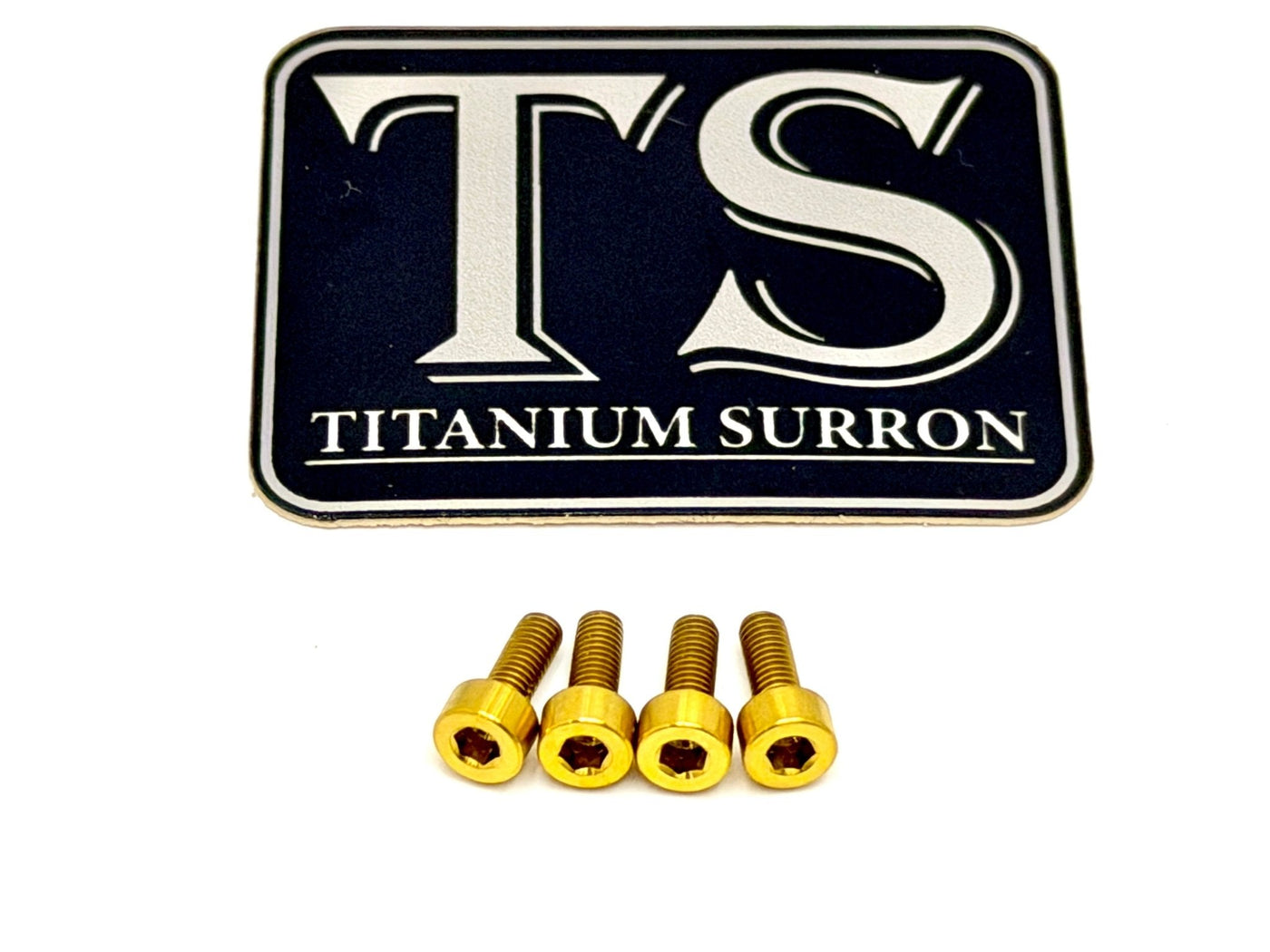 Titanium Baja Designs Headlight Cover Plate Bolts (4) for E-Ride Pro SS, view 4