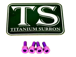 Titanium Baja Designs Headlight Cover Plate Bolts (4) for E-Ride Pro SS, view 3