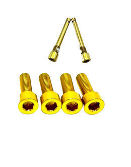 Titanium Caliper Bolt Kit (20mm Bolts) for E-Ride Pro SS, view 16