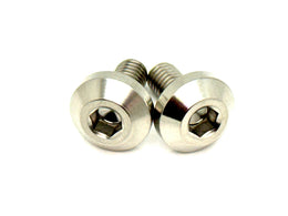 Titanium Chain Guard Bolts (2 pcs) — Surron & Segway · Titanium Surron, raw titanium