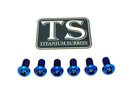 Titanium Controller Mount Bolts for E-Ride Pro SS, view 4