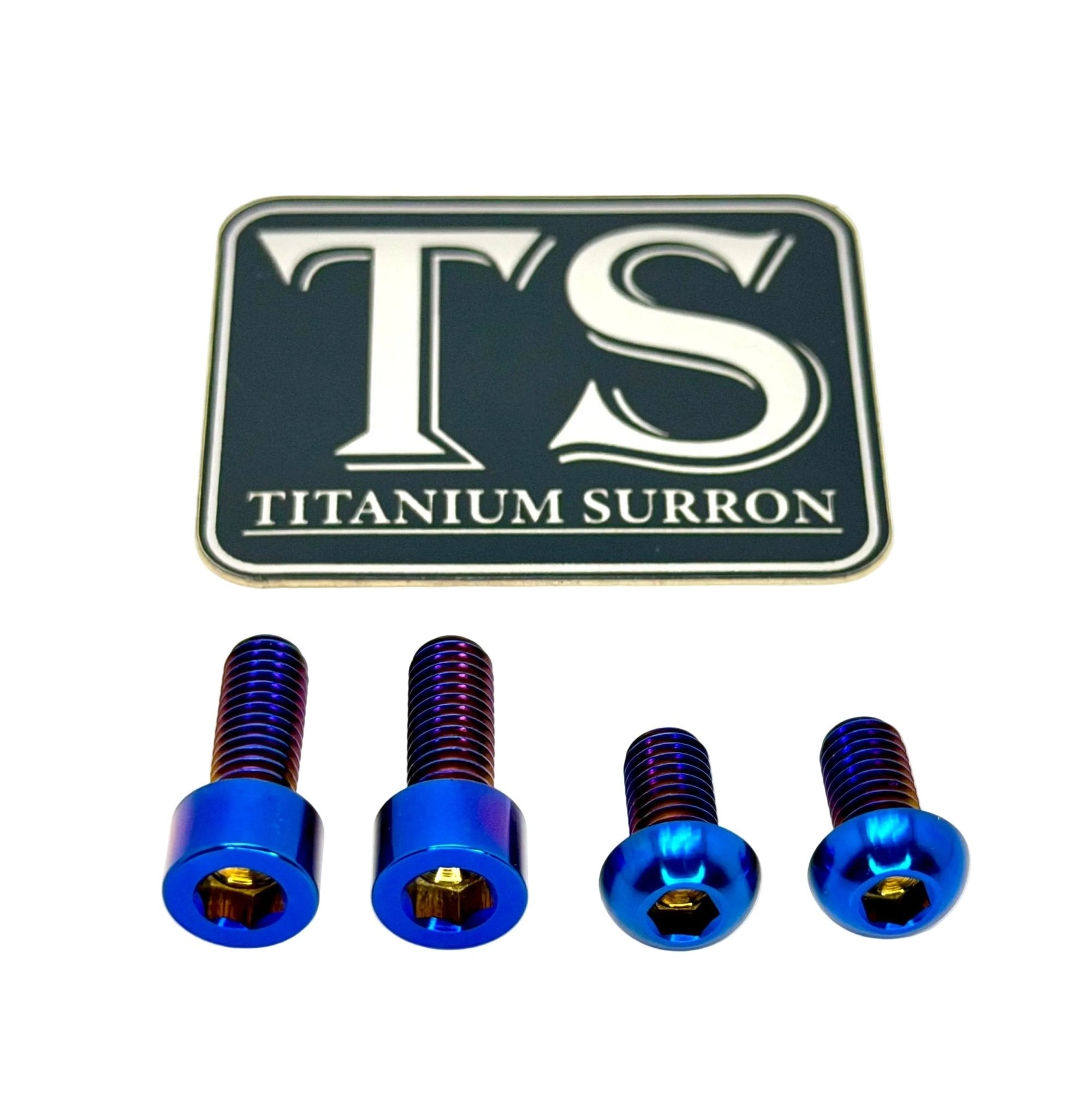 Titanium Controller Mount Bolts for E-Ride Pro SS, view 1