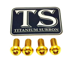 Titanium Controller Mount Bolts for E-Ride Pro SS, view 13