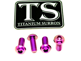 Titanium Controller Mount Bolts for E-Ride Pro SS, view 14