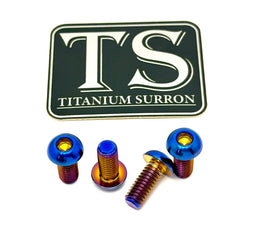 Titanium Controller Mount Bolts for E-Ride Pro SS, view 10