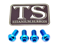 Titanium Controller Mount Bolts for E-Ride Pro SS, view 7