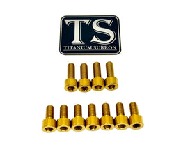 Titanium EXT Ferro Fork Bolt Kits · Titanium Surron, view 13