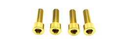 Titanium E-Moto Brake Handle-Mount Bolts for E-Ride Pro SS, view 15