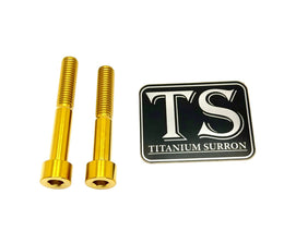 Titanium Hardware for E-moto Shift Locks (LBX, XXX, ERP, Ultra Bee) for…, gold