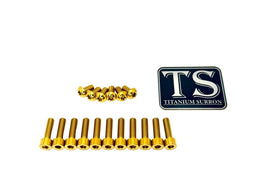 Titanium KKE Fork Bolt Kits · Titanium Surron, without axle-end bolts