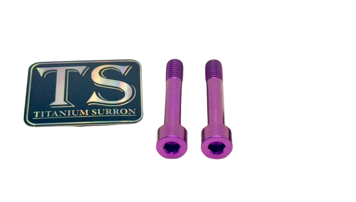 Titanium Motor Bolts - Rerode R1 (4 pcs) · Titanium Surron, purple