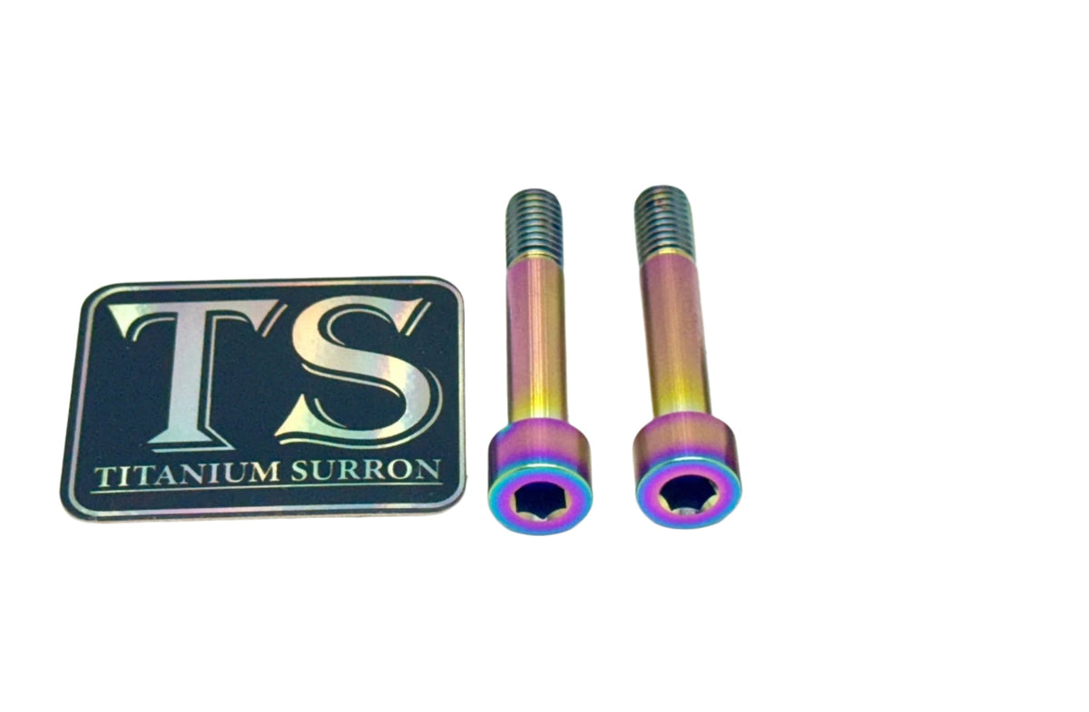 Titanium Motor Bolts - Rerode R1 (4 pcs) · Titanium Surron, rainbow