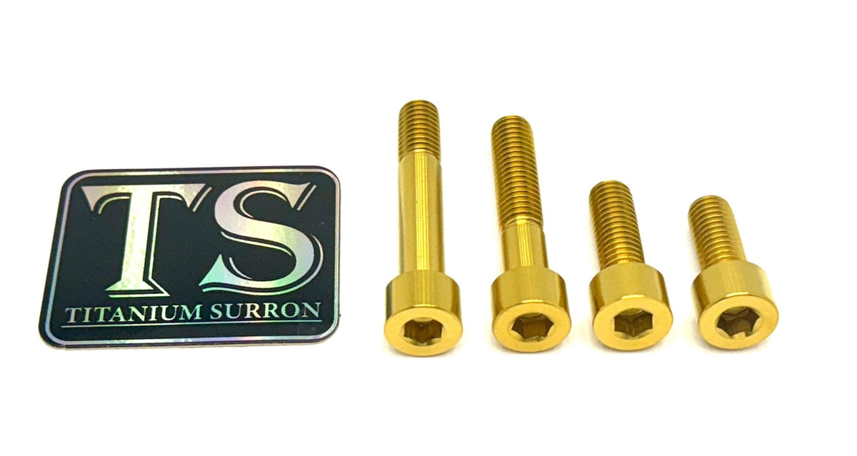 Titanium Motor Bolts - E-Ride Pro (2.0, 3.0, SR) · Titanium Surron, gold