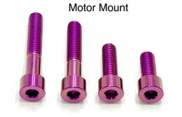 Titanium Motor Bolts - E-Ride Pro (2.0, 3.0, SR) · Titanium Surron, purple