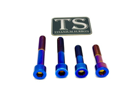 Titanium Motor Bolts - Surron Ultra Bee · Titanium Surron, burnt blue