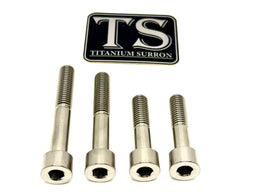 Titanium Motor Bolts - Surron Ultra Bee · Titanium Surron, silver (raw)