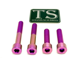 Titanium Motor Bolts - Surron Ultra Bee · Titanium Surron, purple