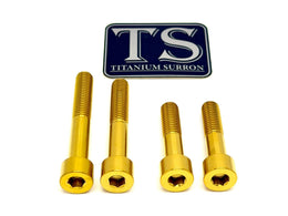 Titanium Motor Bolts - Surron Ultra Bee · Titanium Surron, gold