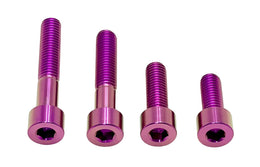 Titanium Motor Bolts - Talaria XXX · Titanium Surron, purple