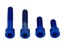 Titanium Motor Bolts - Talaria XXX · Titanium Surron, blue