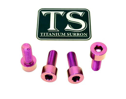 Titanium Peg Bracket Bolts for E-Ride Pro SS, purple