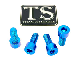 Titanium Peg Bracket Bolts for E-Ride Pro SS, teal