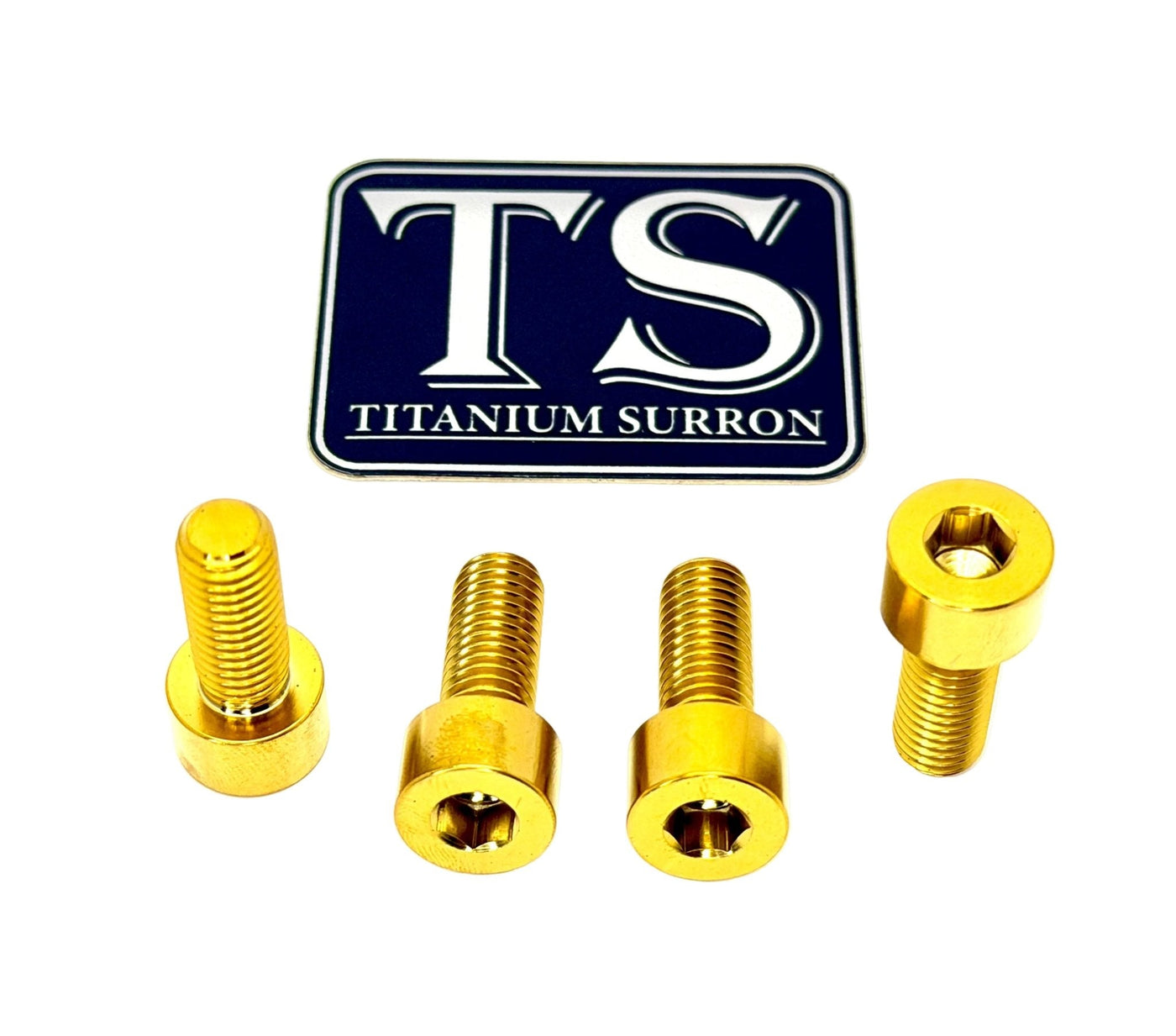 Titanium Peg Bracket Bolts for E-Ride Pro SS, gold