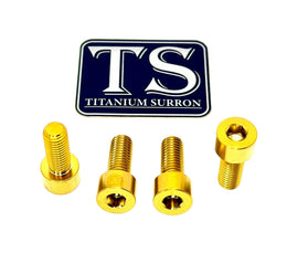 Titanium Peg Bracket Bolts for E-Ride Pro SS, gold