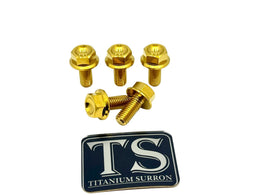 Titanium Sprocket Bolts for E-Ride Pro SS, view 11